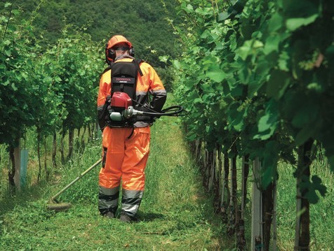 Pielęgnacja trawnika w końcówce lata - co oprócz aeracji jest do zrobienia